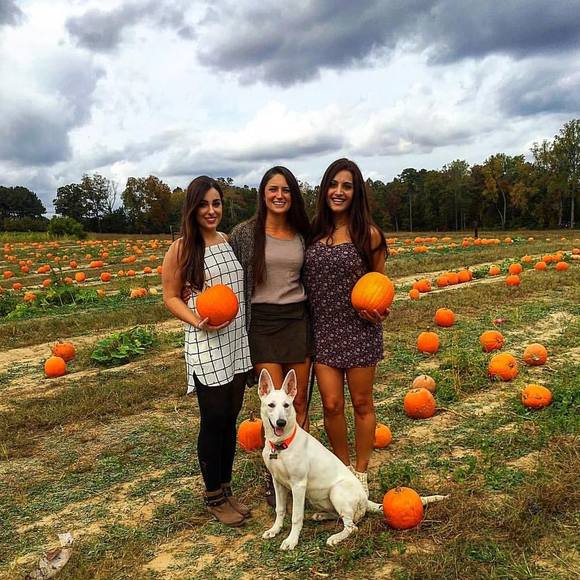 Meet your Posher, Tara