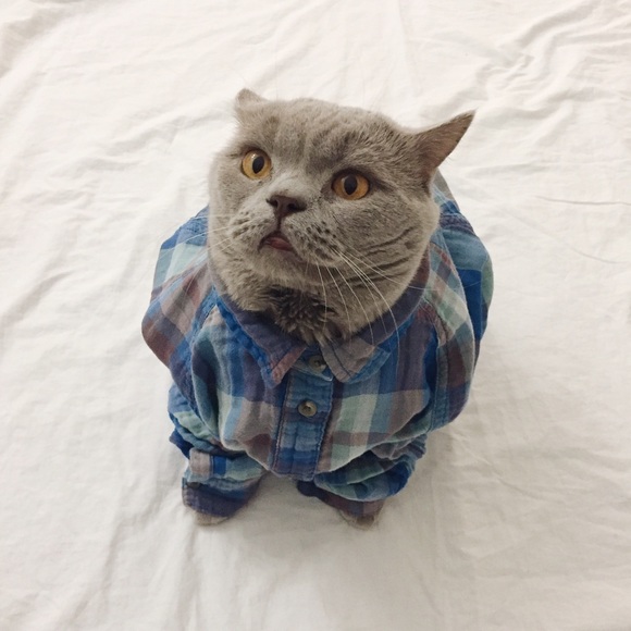 BDG Blue Flannel