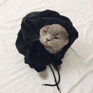 "No One Cares" Graphic Sweater