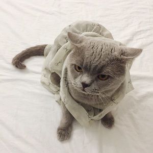 Button Down Top With Bow Ties