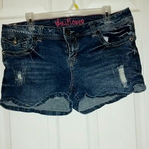 Wallflower Distressed Shorts