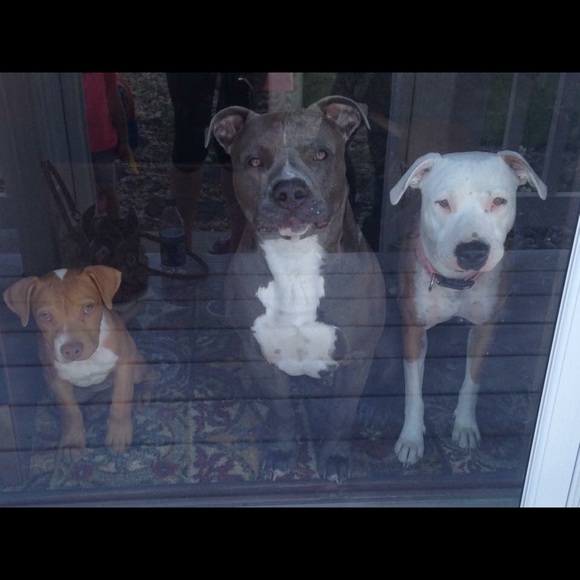 Meet your Posher, Pink lover - Picture 2 of 3