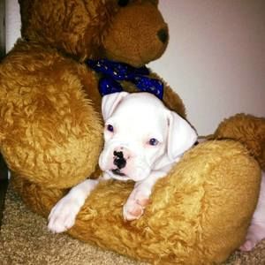 Meet your Posher, Lindsay