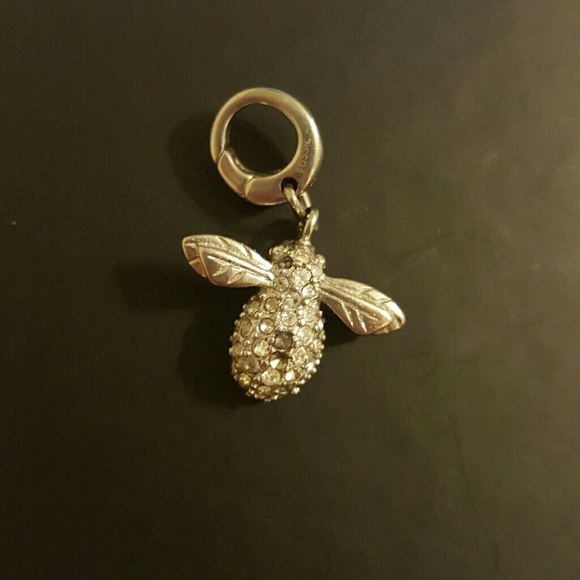 Fossil Charm