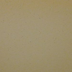 Meet your Posher, Sadaf