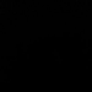 Meet your Posher, Flora mae