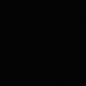 Meet your Posher, Nidhi