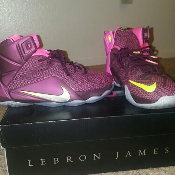 Nike LeBron Merlot  Firm on the price