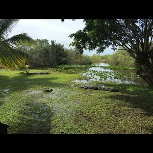 Meet your Posher, Winnie