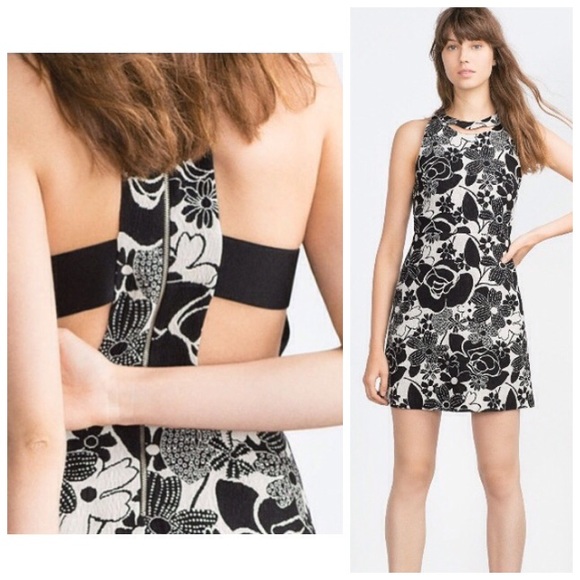 zara printed jacquard dress
