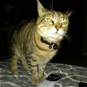 Meet your Posher, Daniel