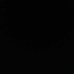 Meet your Posher, Gladys