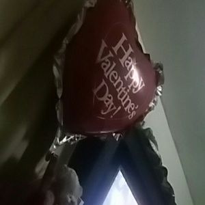 Meet your Posher, Carolina