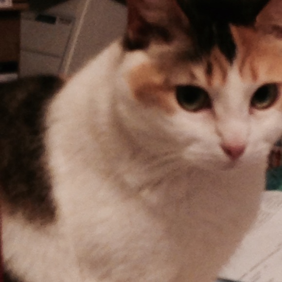 Meet your Posher, Hope