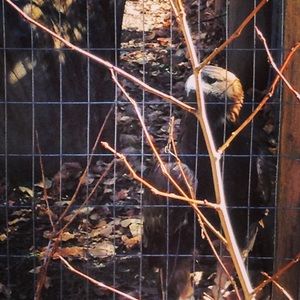 Meet your Posher, Raquel