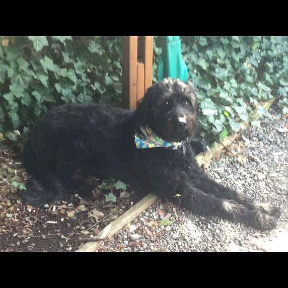 Meet your Posher, Nicole - Picture 1 of 1