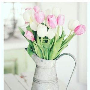 Meet your Posher, Kristina