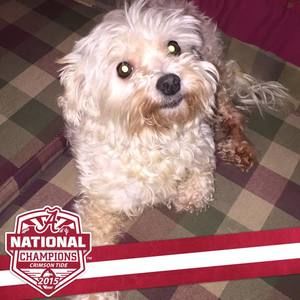 Meet your Posher, Deborah