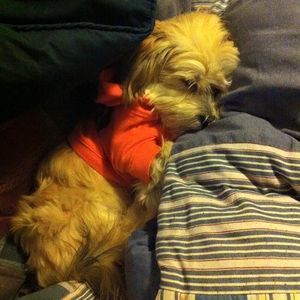 Meet your Posher, Heather