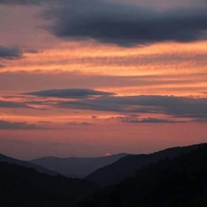 Meet your Posher, Swana