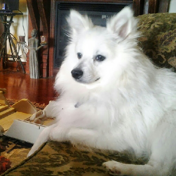 Meet your Posher, Judith - Picture 1 of 1