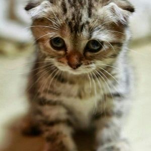 Meet your Posher, Jeni