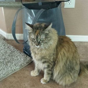 Meet your Posher, Dessa