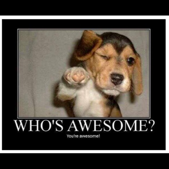 Meet your Posher, Kay