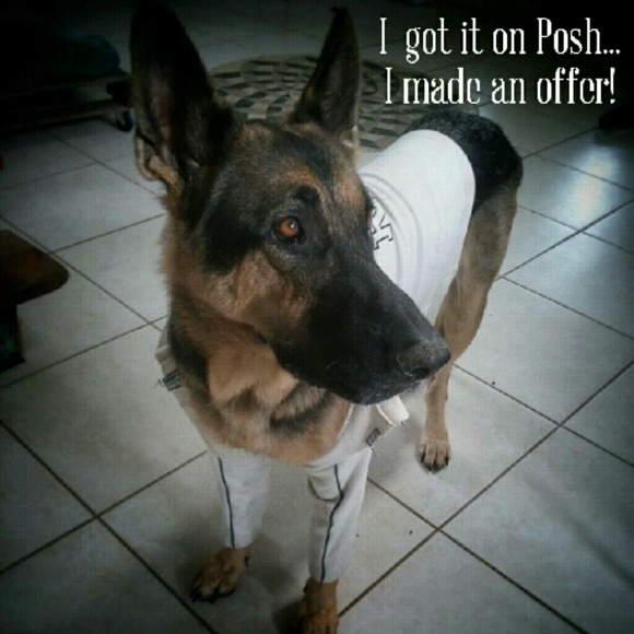 I got this on posh... I made an offer.