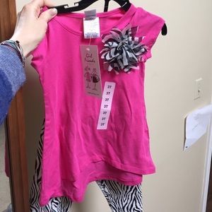 Toddler zebra print outfit 3t