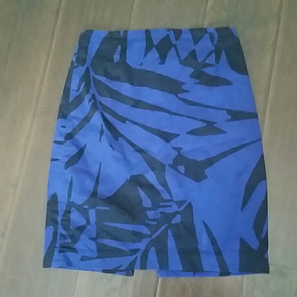 Blue and Black Express Skirt