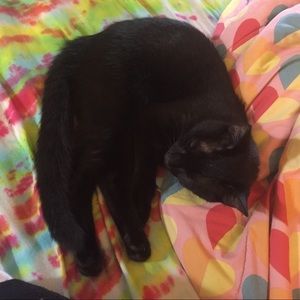 Meet your Posher, Lynn