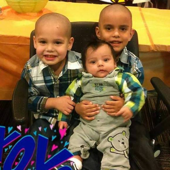 Meet your Posher, Rosa - Picture 1 of 1