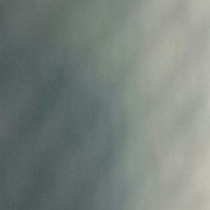 Meet your Posher, Lacey