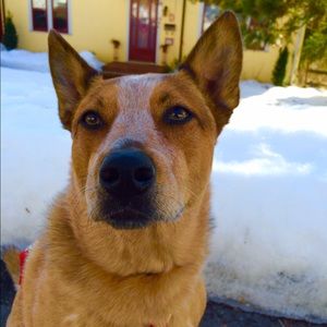 Meet your Posher, Maureen