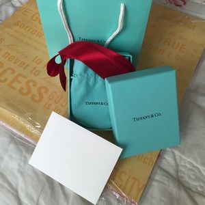 Tiffany and Co shopping bag