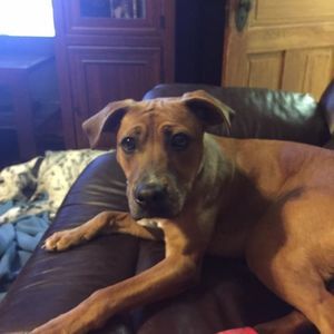 Meet your Posher, Robin