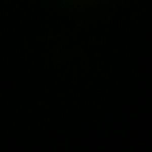 Meet your Posher, Delois