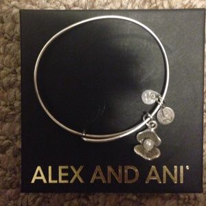 Alex and Ani bracelet