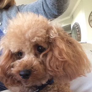 Meet your Posher, Jacque