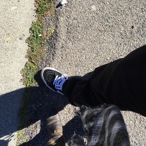 Meet your Posher, America