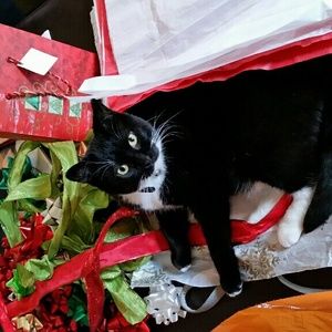 Meet your Posher, Heather