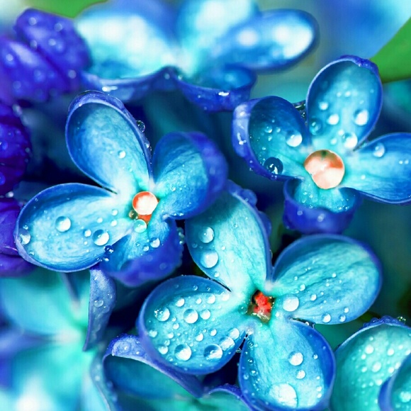 Meet your Posher, April