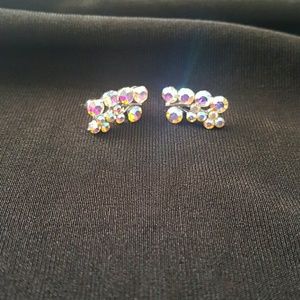 Elegant earrings NWOT