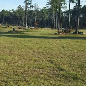 Meet your Posher, George