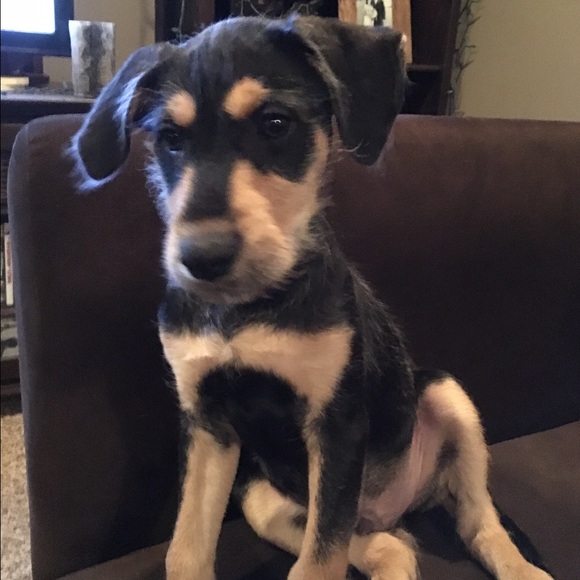 Meet your Posher, Jessica - Picture 3 of 4