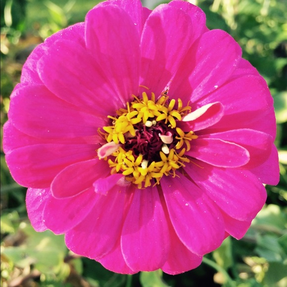 Meet your Posher, Addie