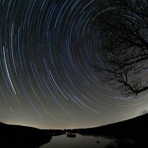 Meet your Posher, Roxanne