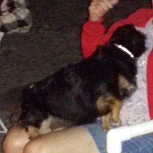 Meet your Posher, June