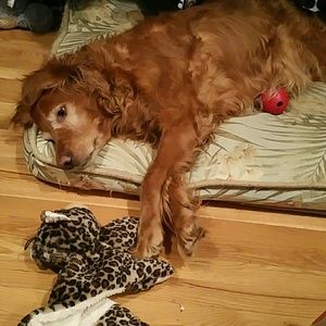 Meet your Posher, Janine